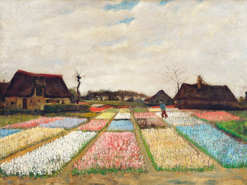 Flower Beds In Holland, Vincent Van Gogh