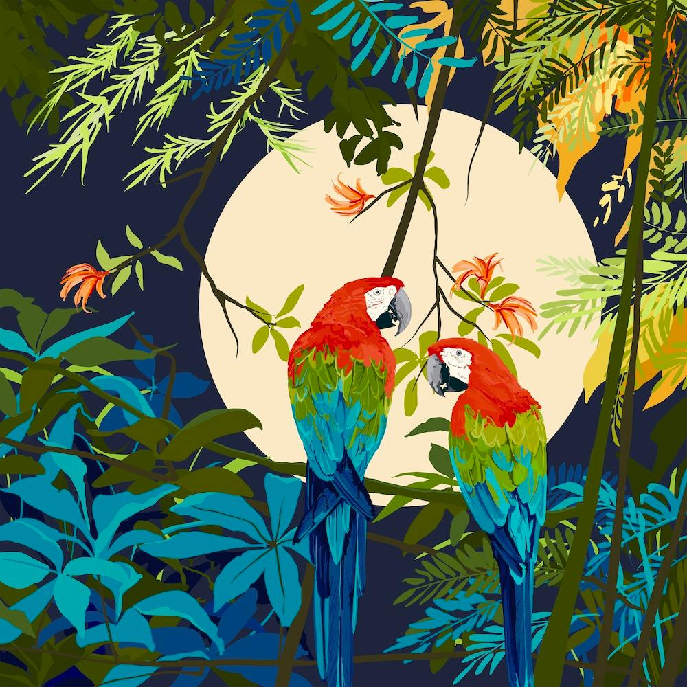 Parrots In The Moonlight Square