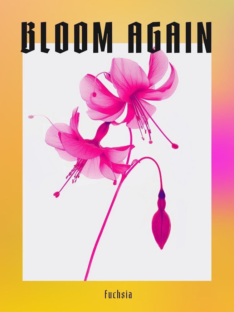 Hot Pink Fuchsia 2 Poster