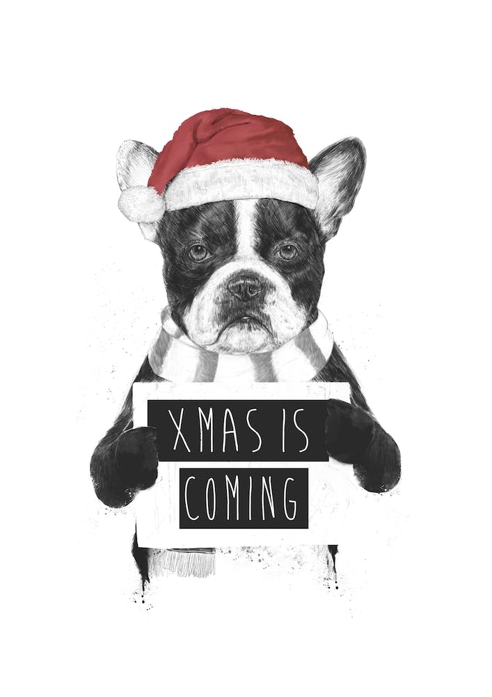 Weihnachten kommt