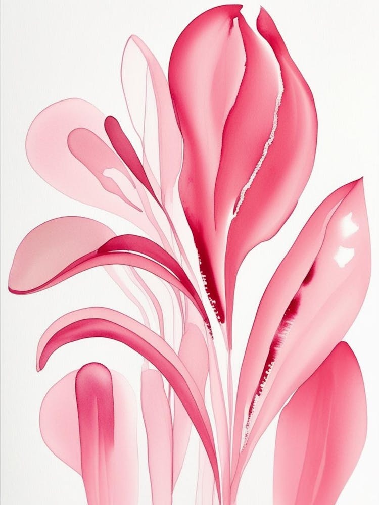Pink Calla Lily