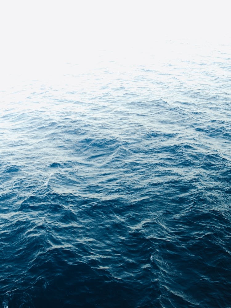 Endless Waters