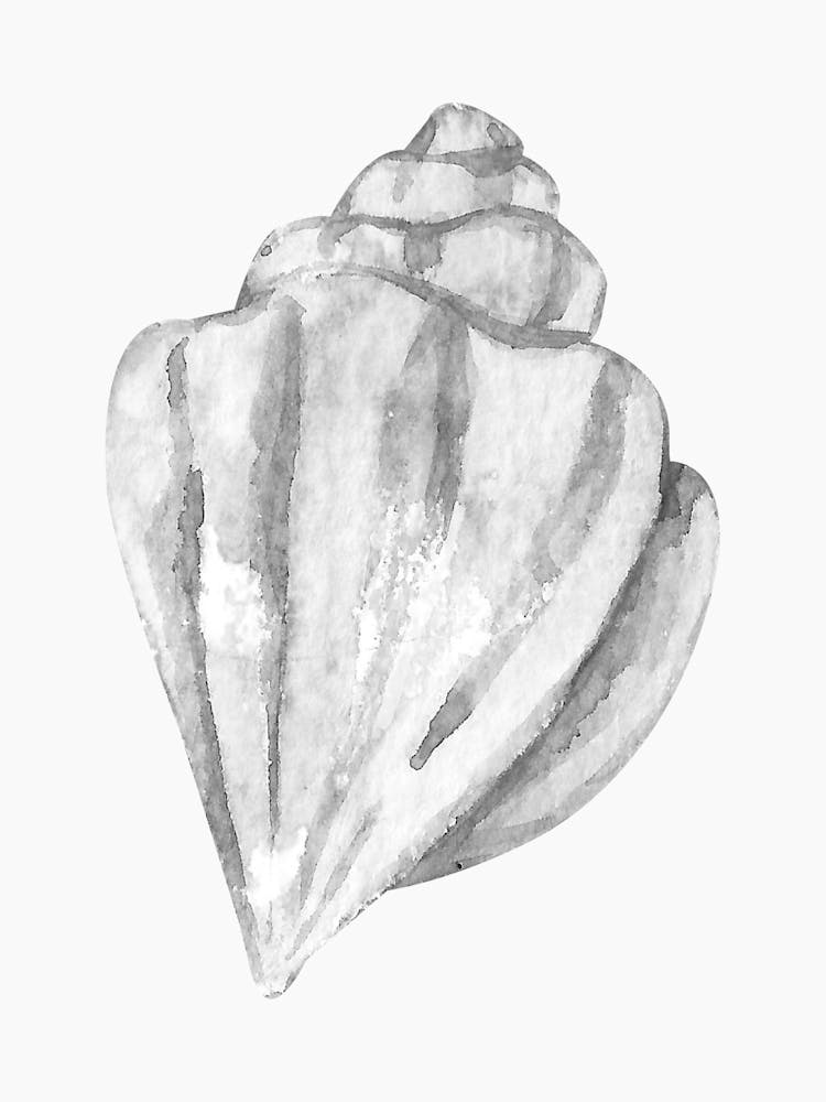 Watercolor Seashell