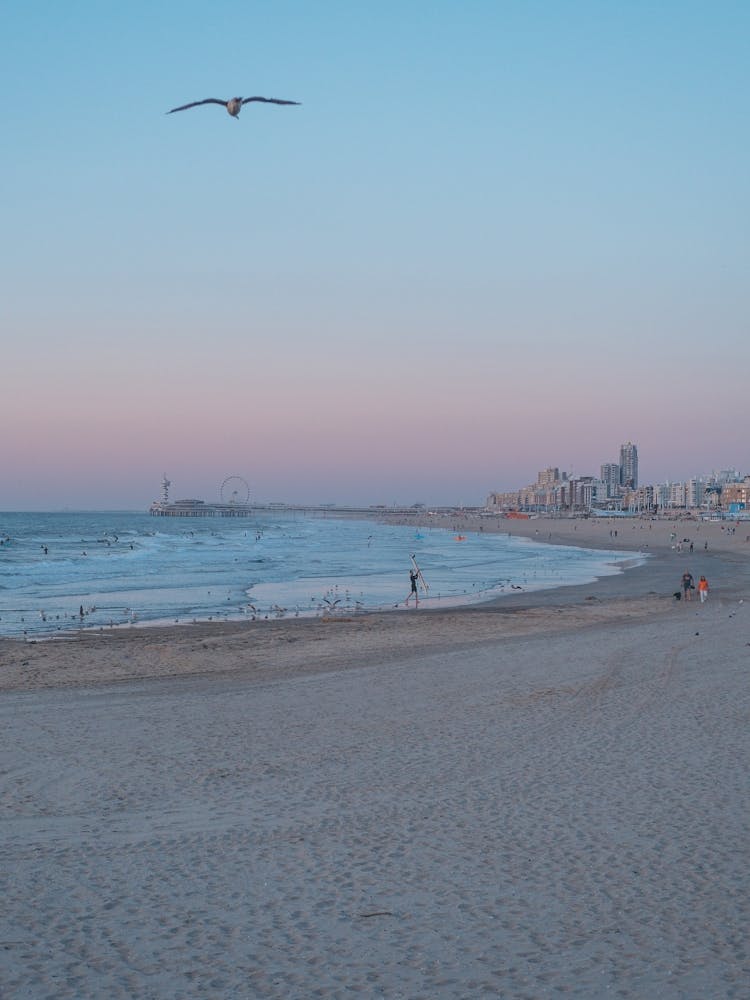 Surfer's Paradise Scheveningen