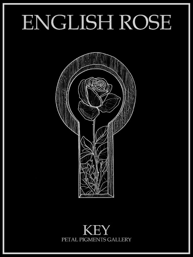Dessin au trait de Rose Anglaise Clé 4 Affiche Inversée