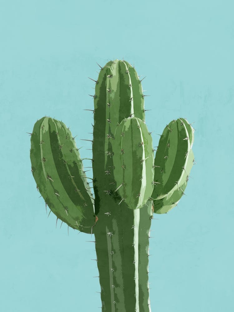 Blue Cactus 1
