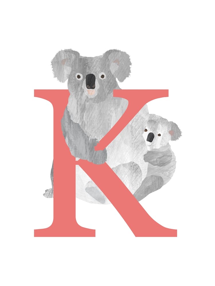 K für Koala