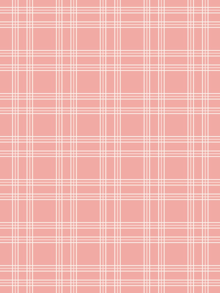 Coral Pink Gingham
