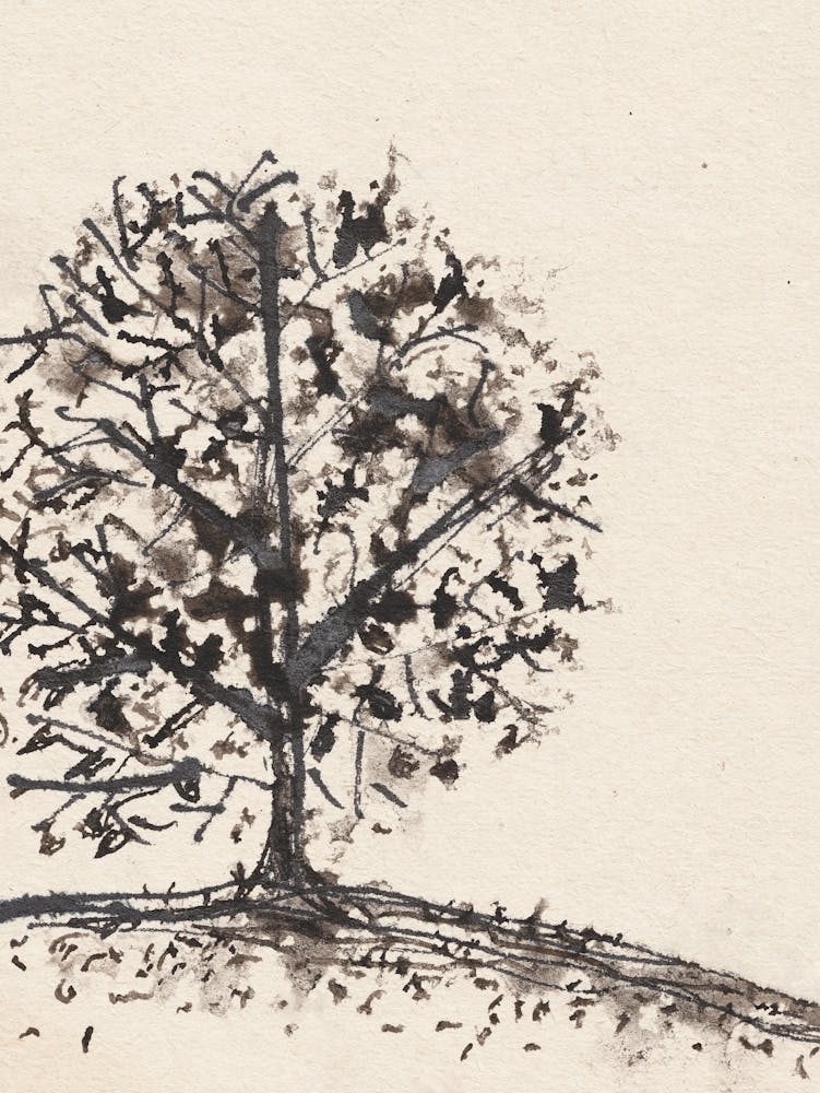 Branches After The Rain