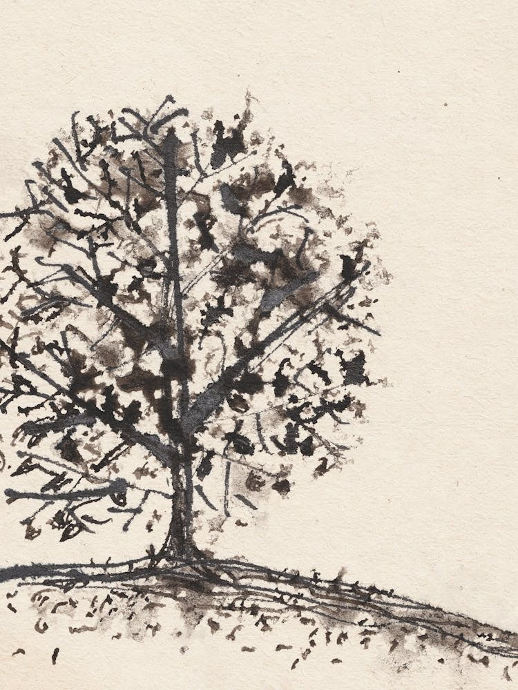 Branches After The Rain