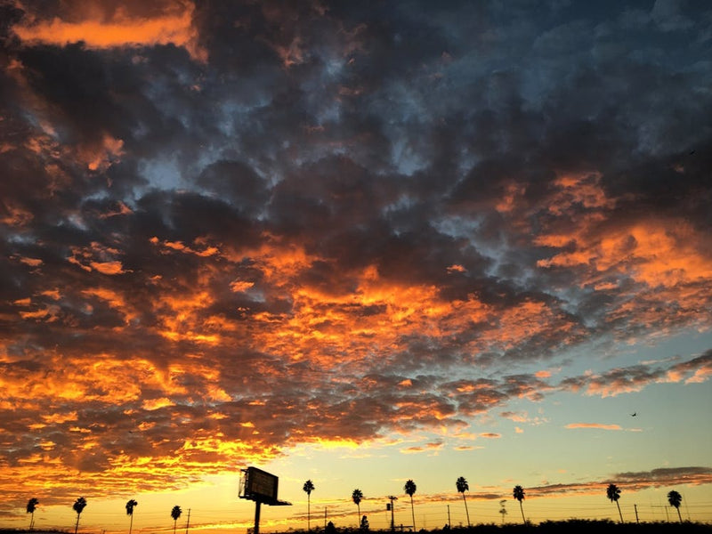sunset on the 405