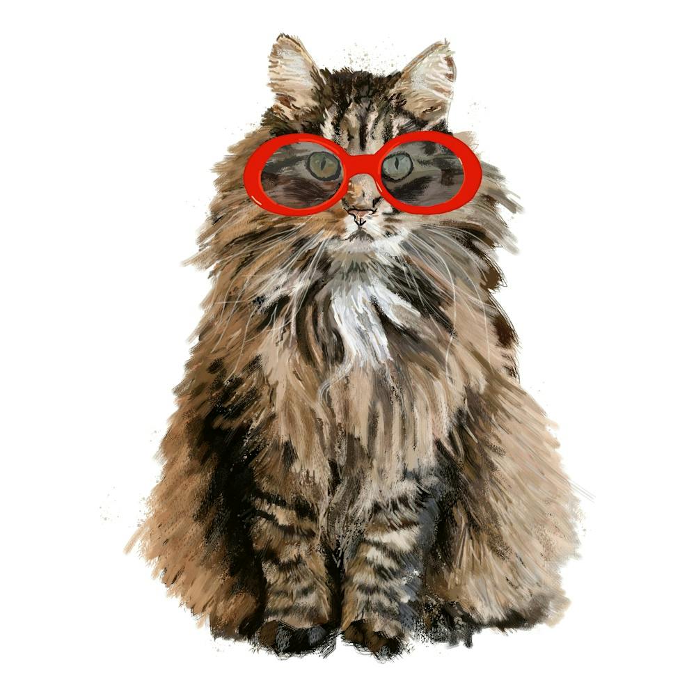 Chat aux lunettes rouges