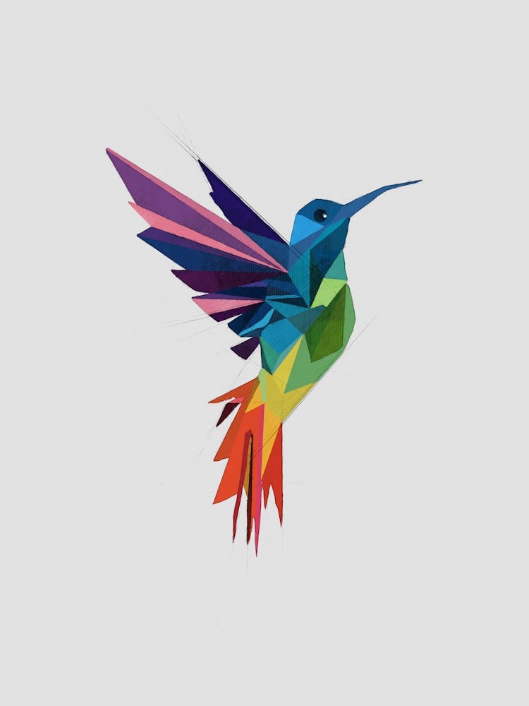 Multicolor Abstract Hummingbird