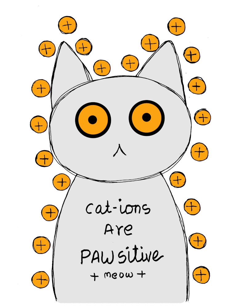 Cat Ions Are Pawsitive