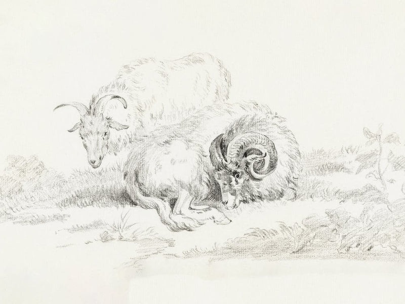 Lying Goat And A Standing Goat, Jean Bernard