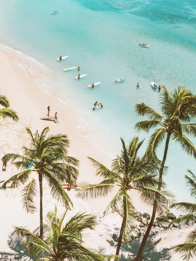 Waikiki, Hawaii Beach Print