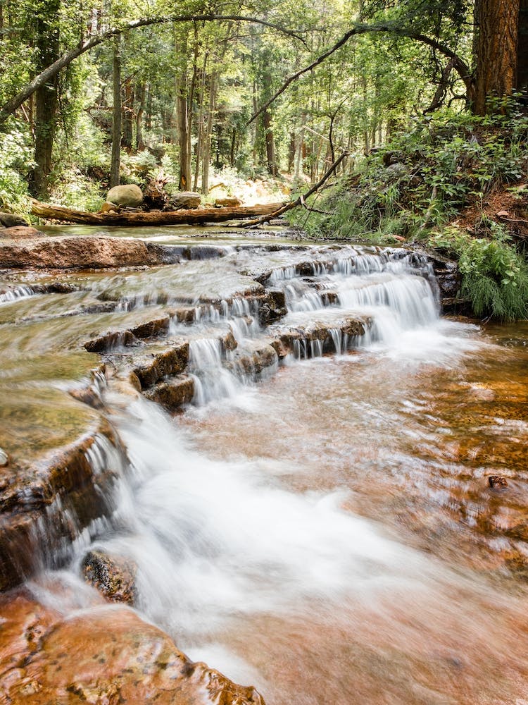 Forest Waterfall 1