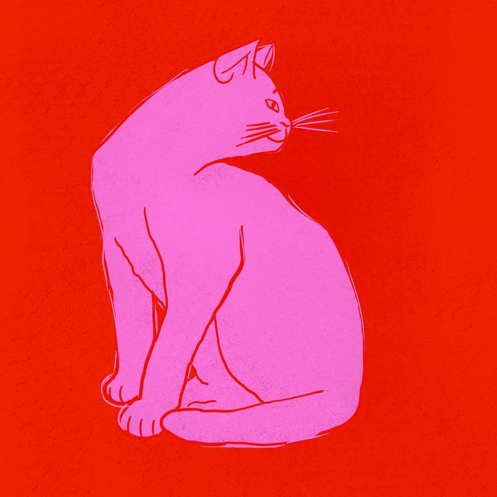 Cat In Pink