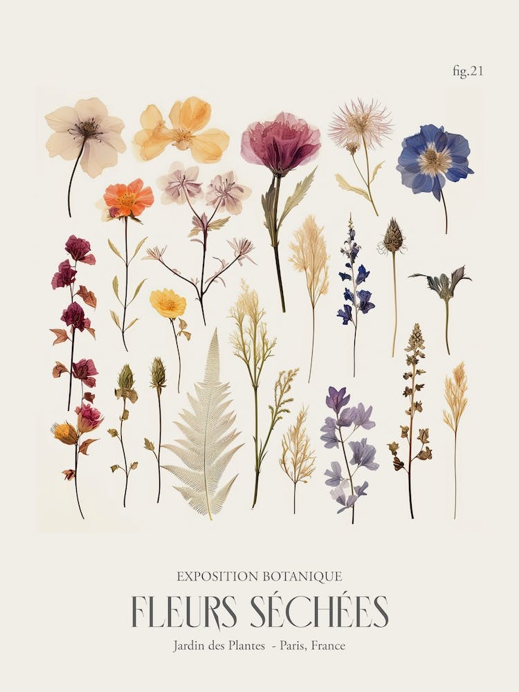 Fleurs Sechees, Dried Flowers Exhibition Poster 21
