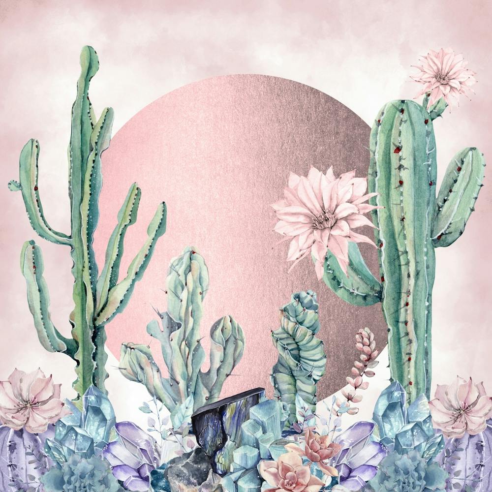 Desert Sunset - Watercolor Cactus And Succulents