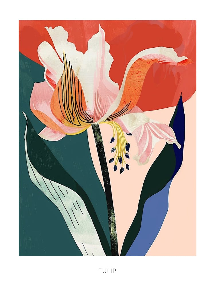 Colourful Flower Illustration Poster Tulip 4