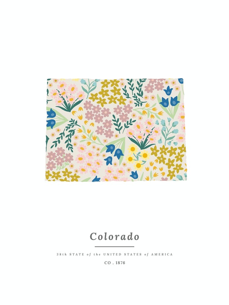 Colorado | Wildflower Mix
