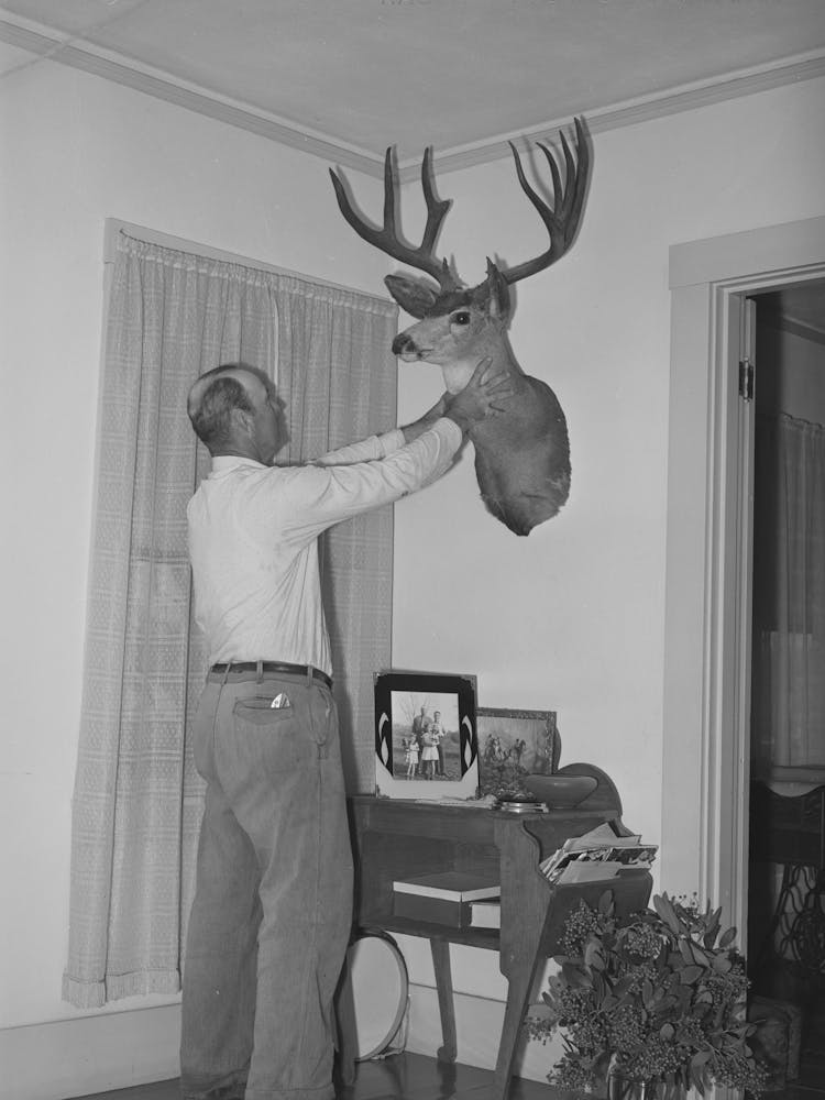Fruit Farmer, Placer County, California By Russell Lee