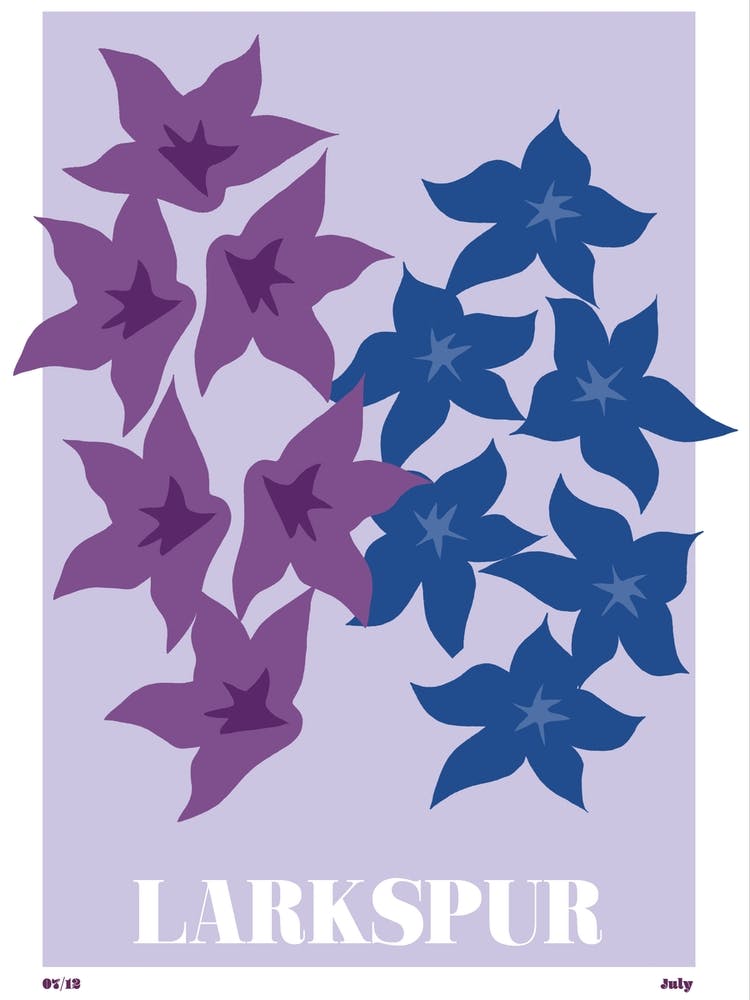 July Birth Month Flower