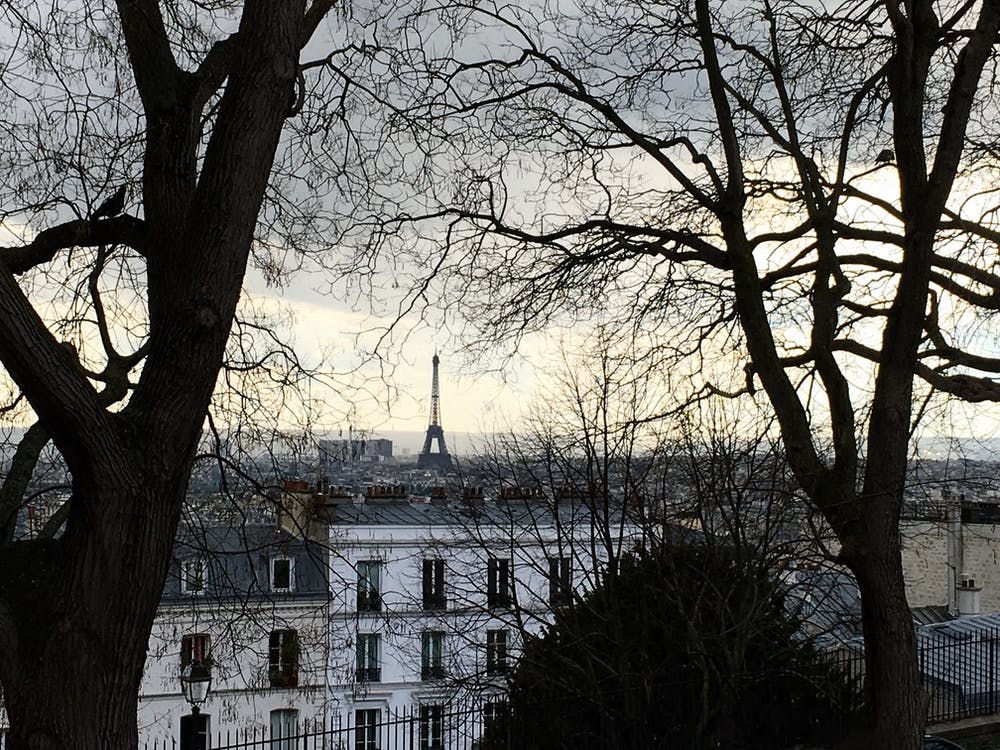 Eiffel Tower From A Tree View (Paris Series)