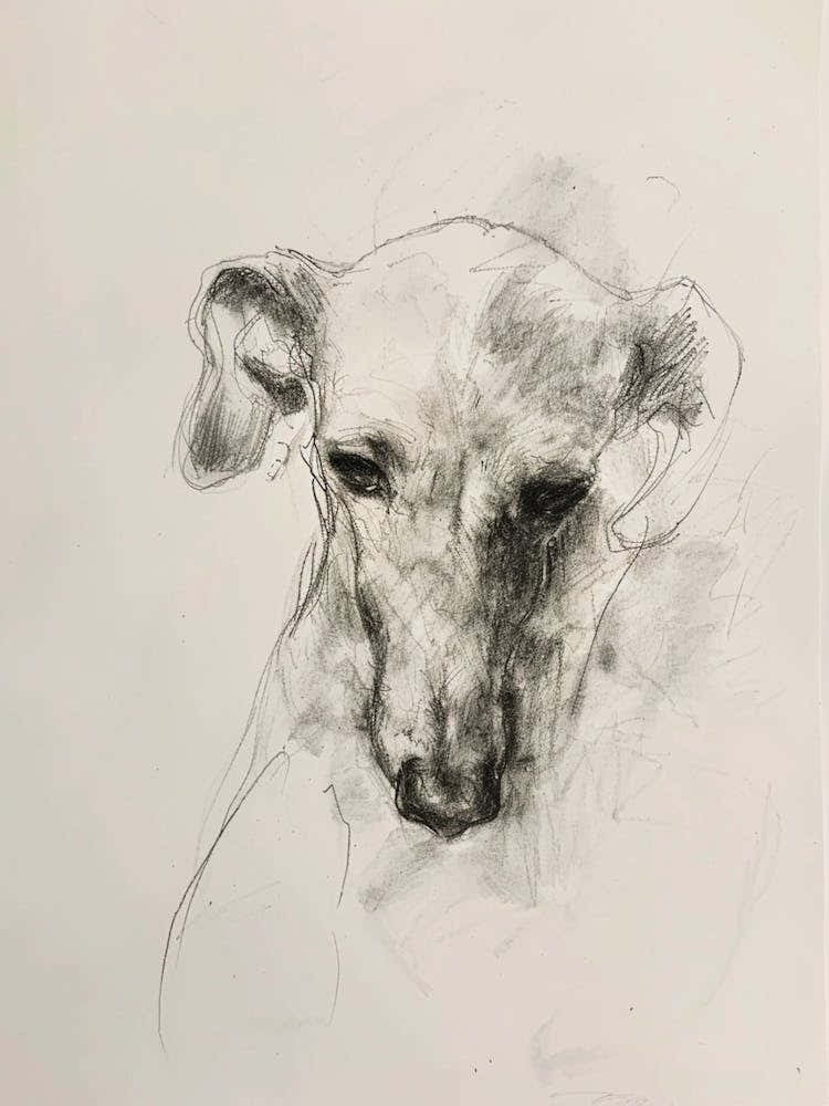 Dog Minimalist Line Charcoal Portrait