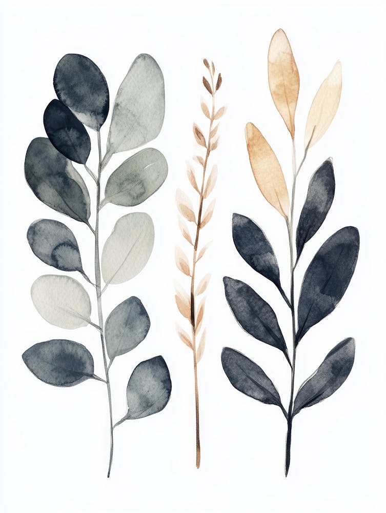 Eucalyptus 39