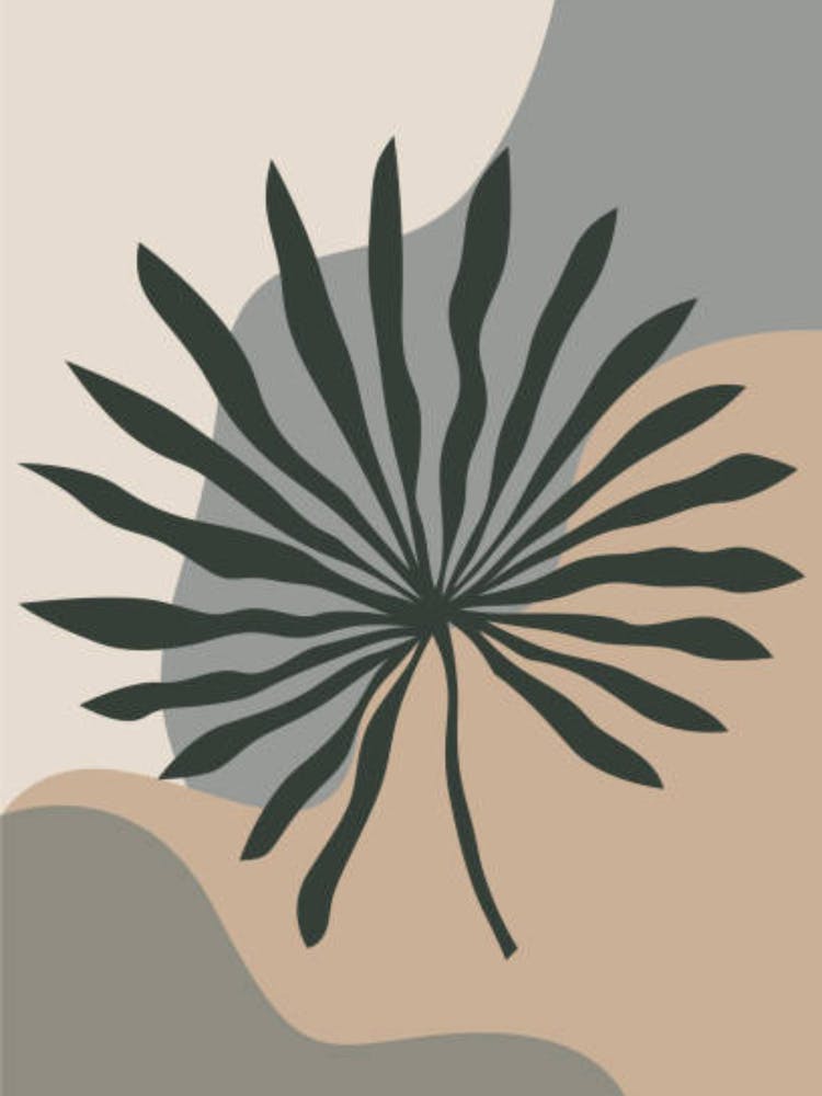 Palm Leaf