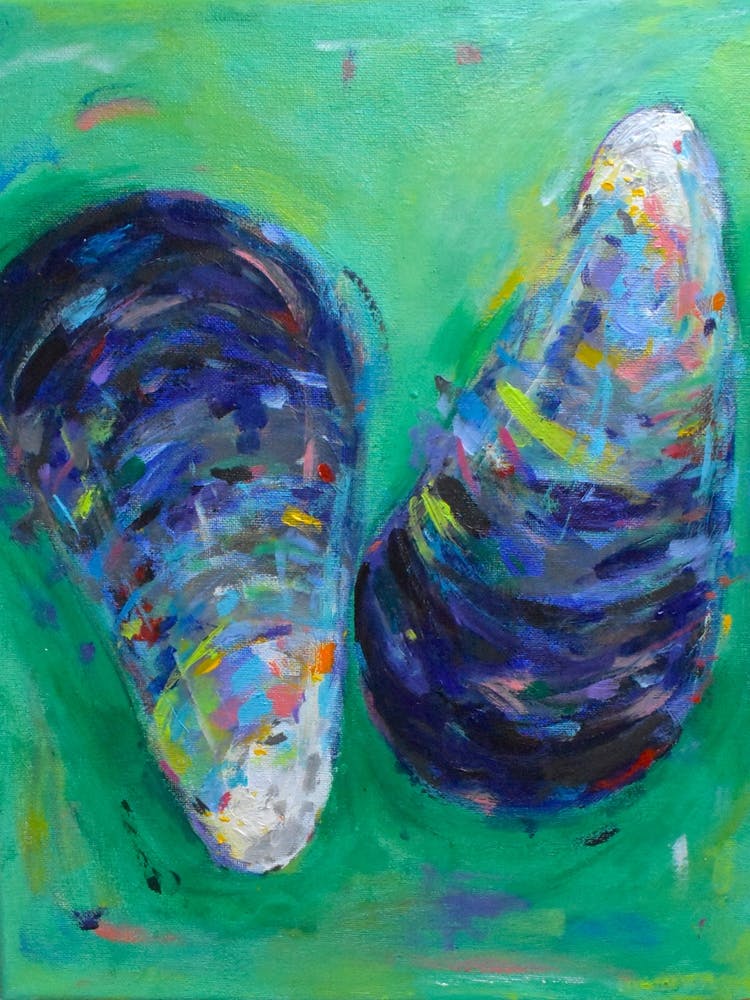 Mussel Shells