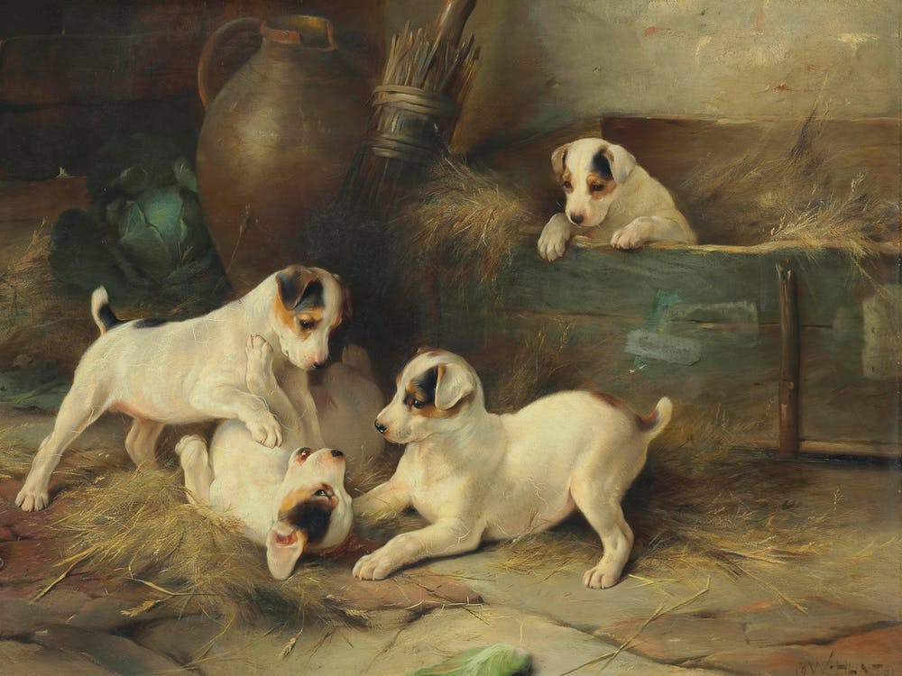 Quatre Chiots Qui Jouent, Walter Hunt