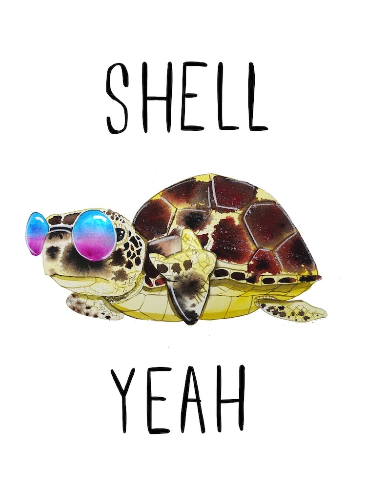 Shell Yeah