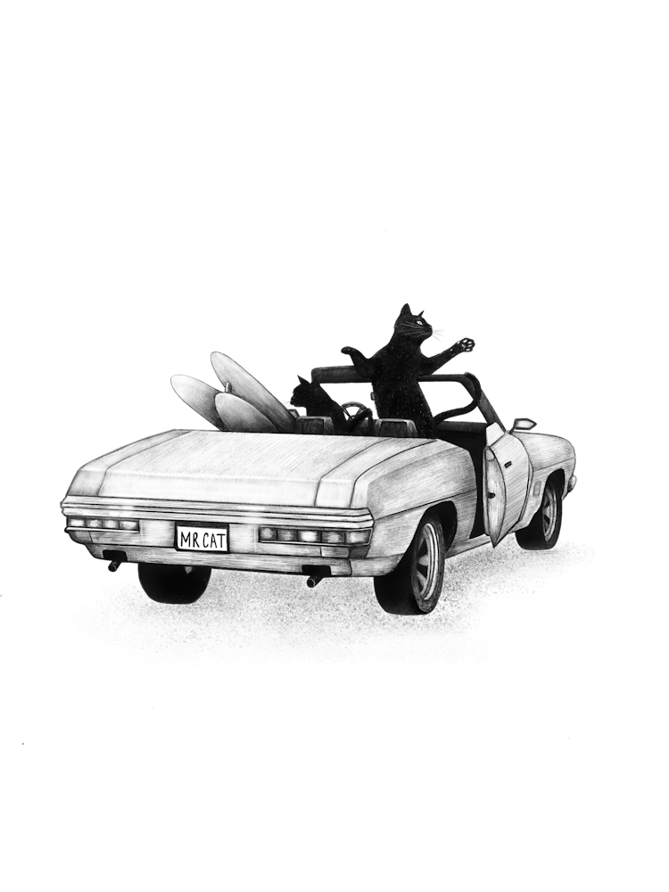 Schwarze Katzen im Auto