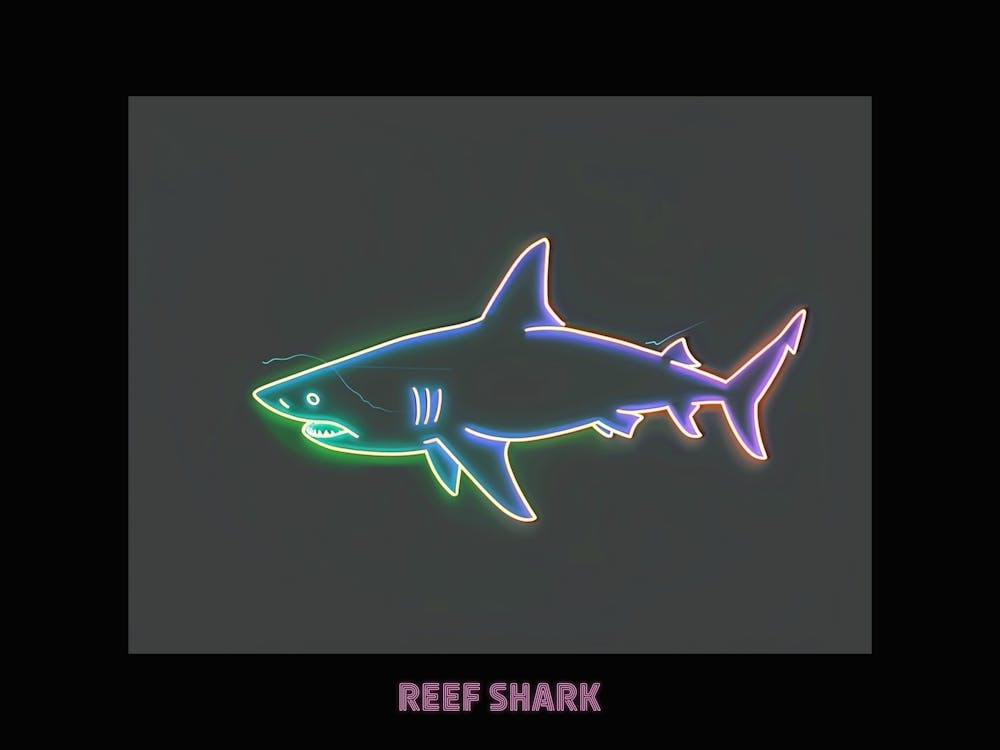 Neon Pink White Tip Reef Shark Poster 6