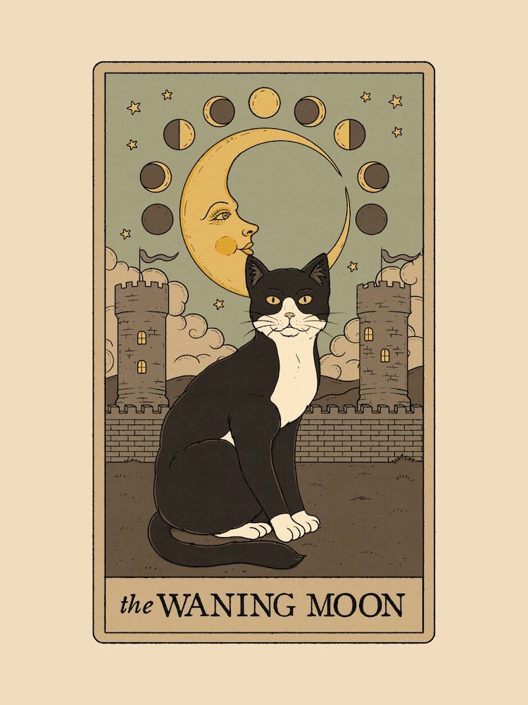 The Waning Moon   Cats Tarot