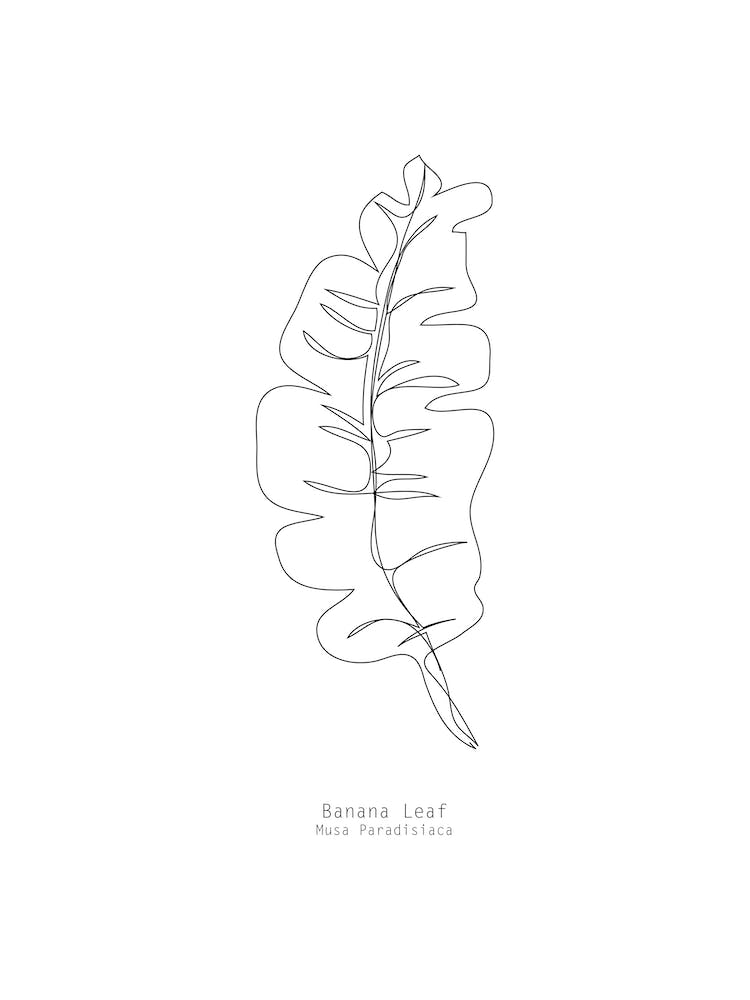 Banana Leaf