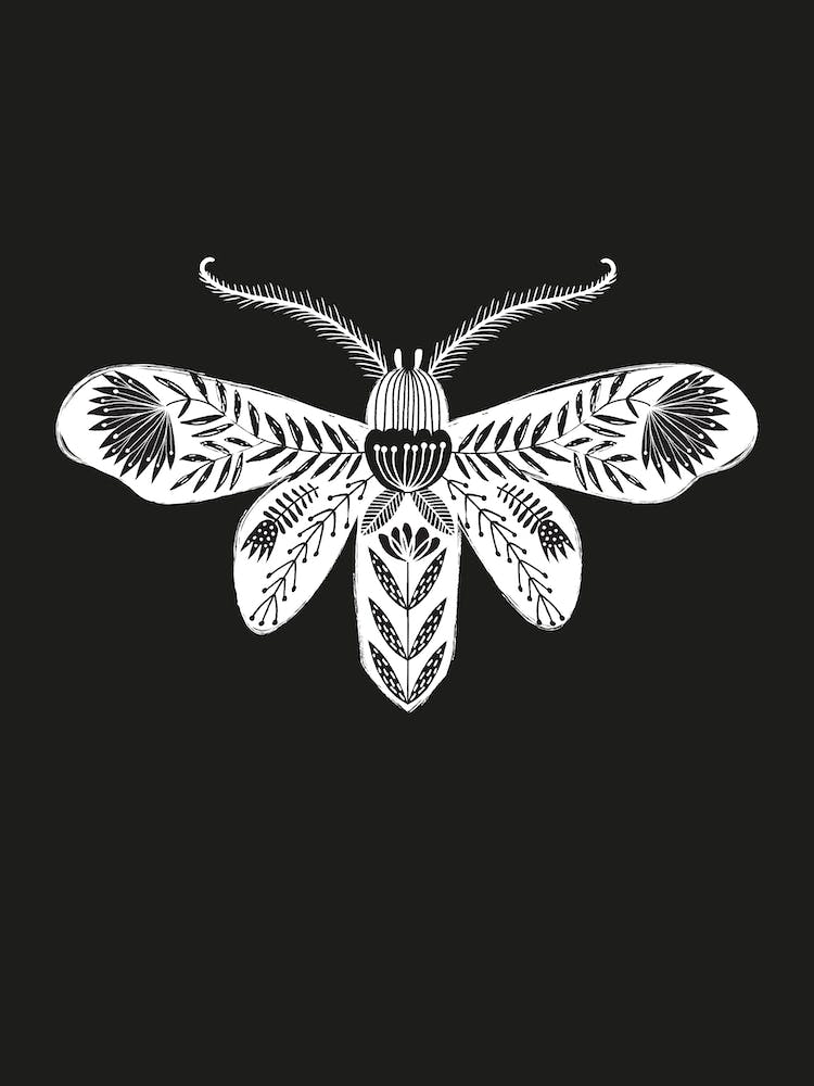 Folk Moth
