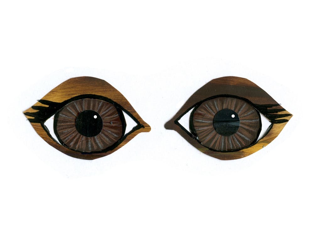 Brown Eye Contact In White