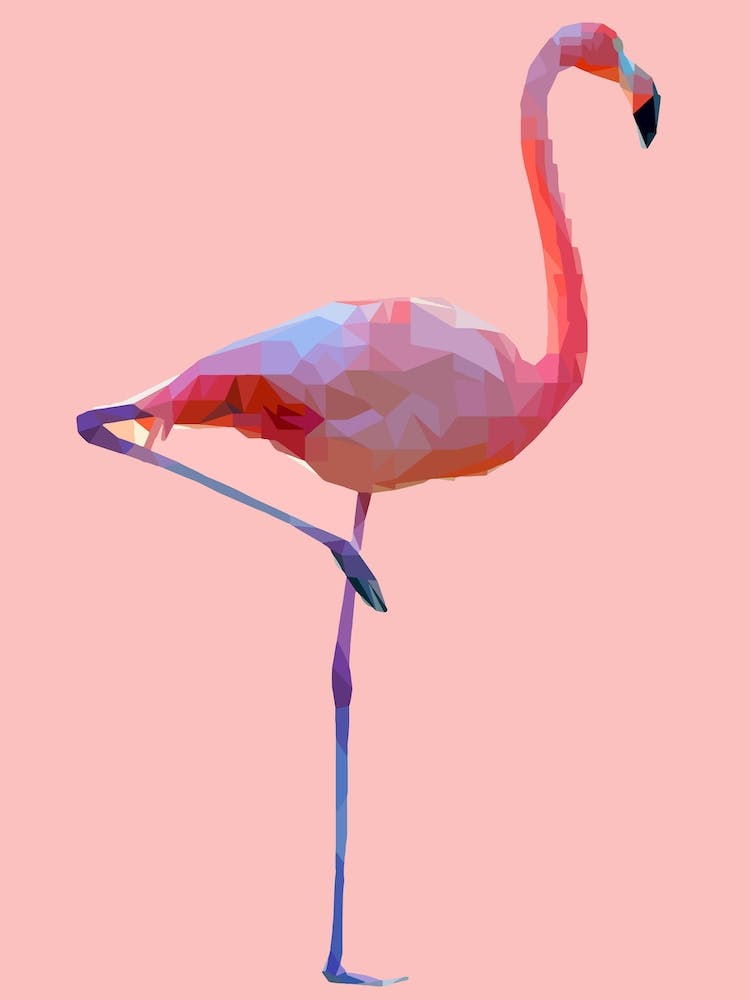 Flamingo Pink