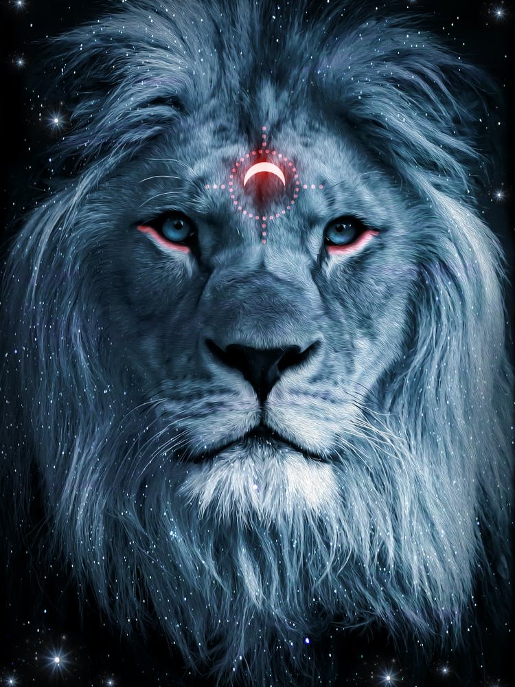 Lion Darkness 1