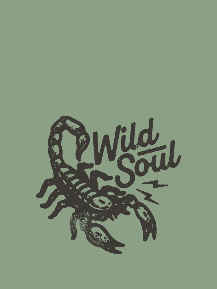 Wild West Scorpion Print, Western Cowboy Wall Art, Horse Rodeo Decor, Cowgirl Country Poster