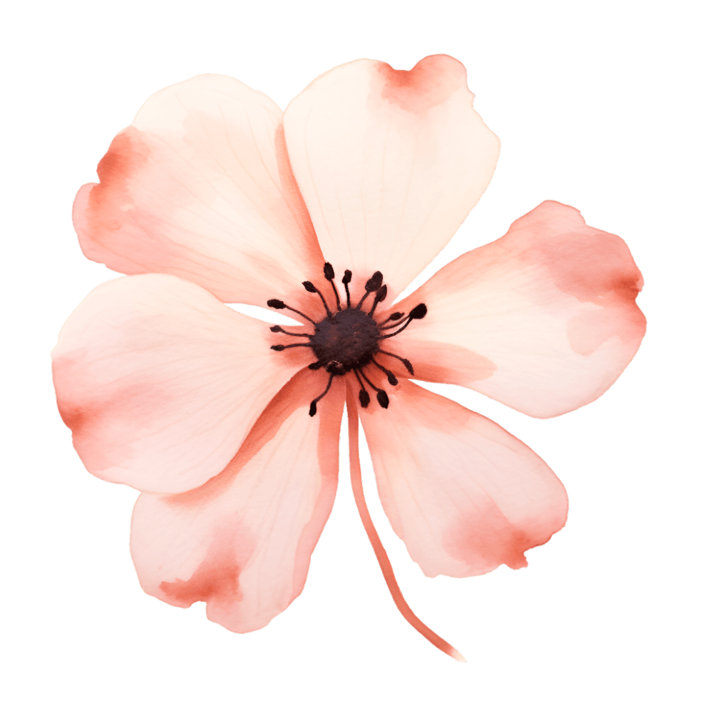 Pink Flower