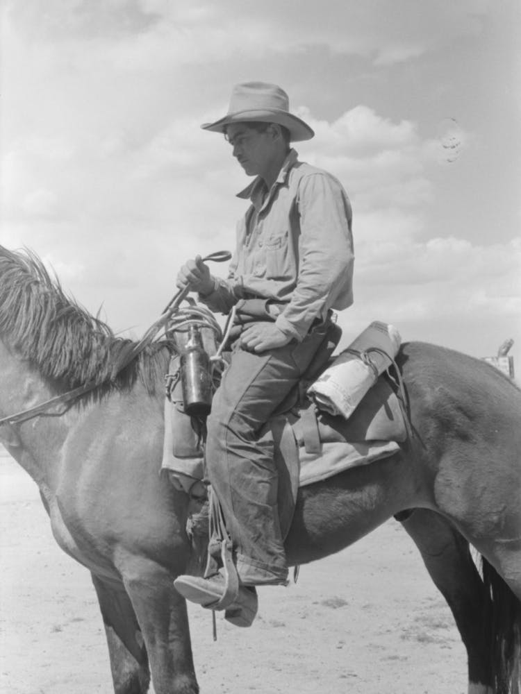 [Untitled photo, possibly related to Cowboy with Spanish cowpony, Pie Town, New Mexico] by Russell Lee