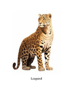 Leopard 2 Kids Animal Poster