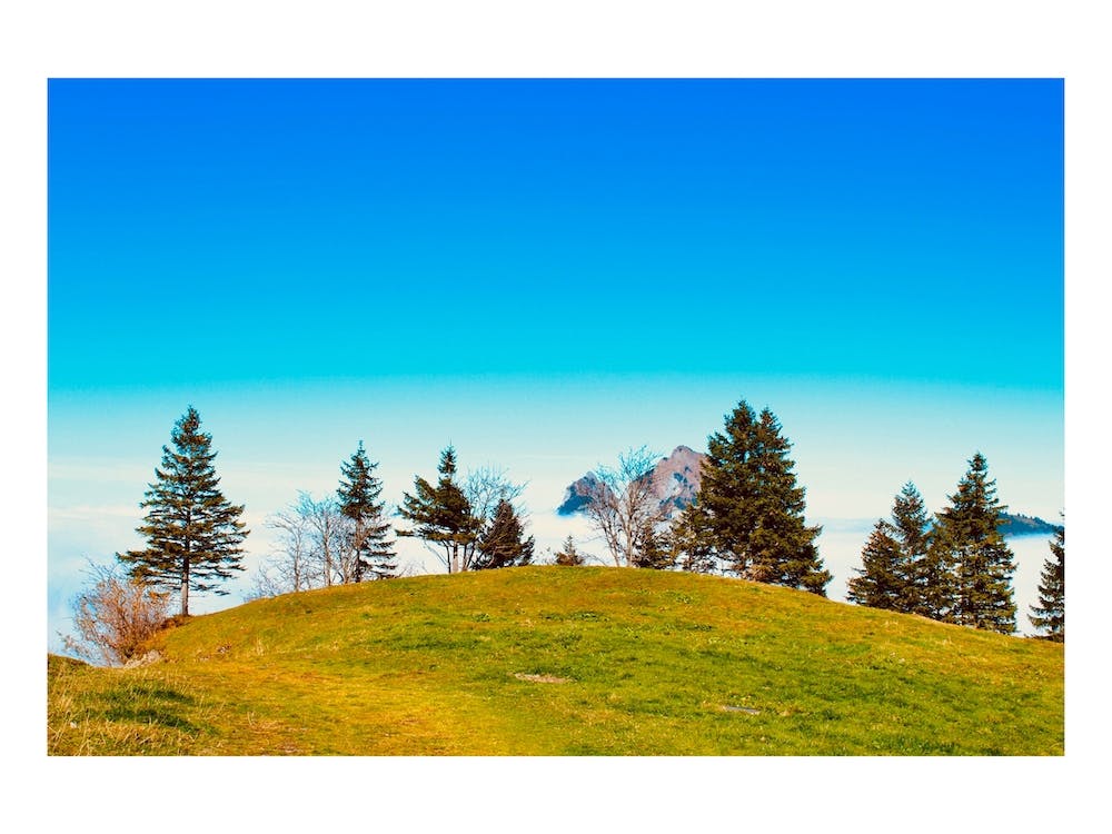 Top Of The Mountain