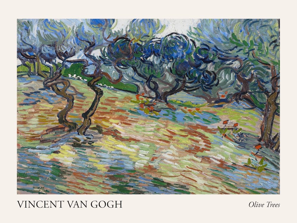 Olive Trees, Van Gogh Poster