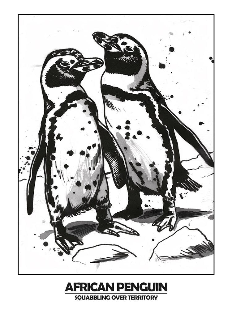 Penguin Squabbling Over Territory Poster 1